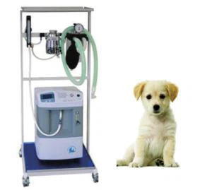 Concentrador de oxigênio para terapia de oxigênio de animais de estimação